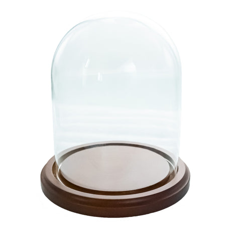 Wood Wooden Base Glass Dome 3 x 4 Inches in Clear color