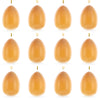 Plastic Natural Beauty: Set of 12 Brown Solid Plastic Easter Egg Ornaments 5.15 Inches in Brown color Oval