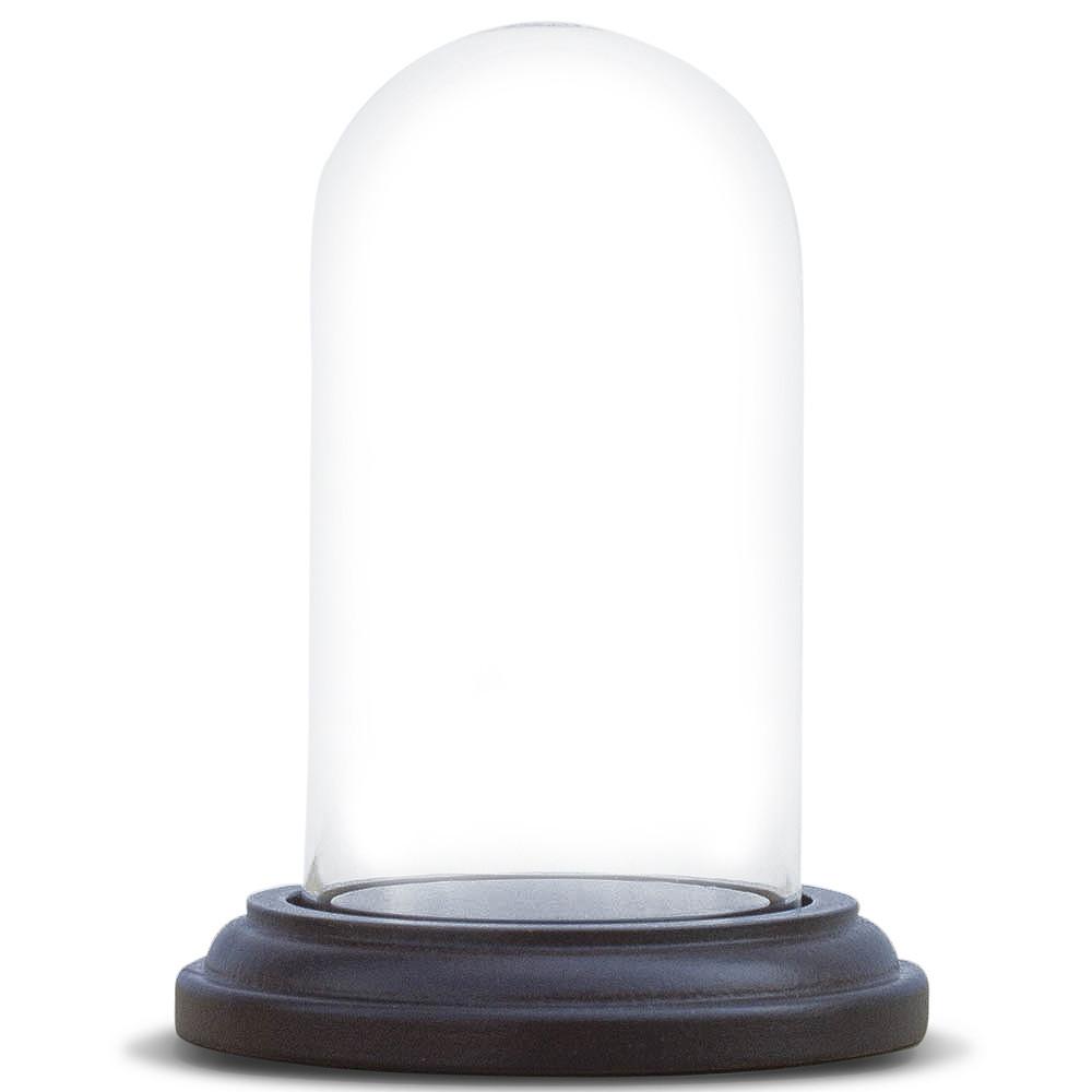 Glass Domes for Collectibles