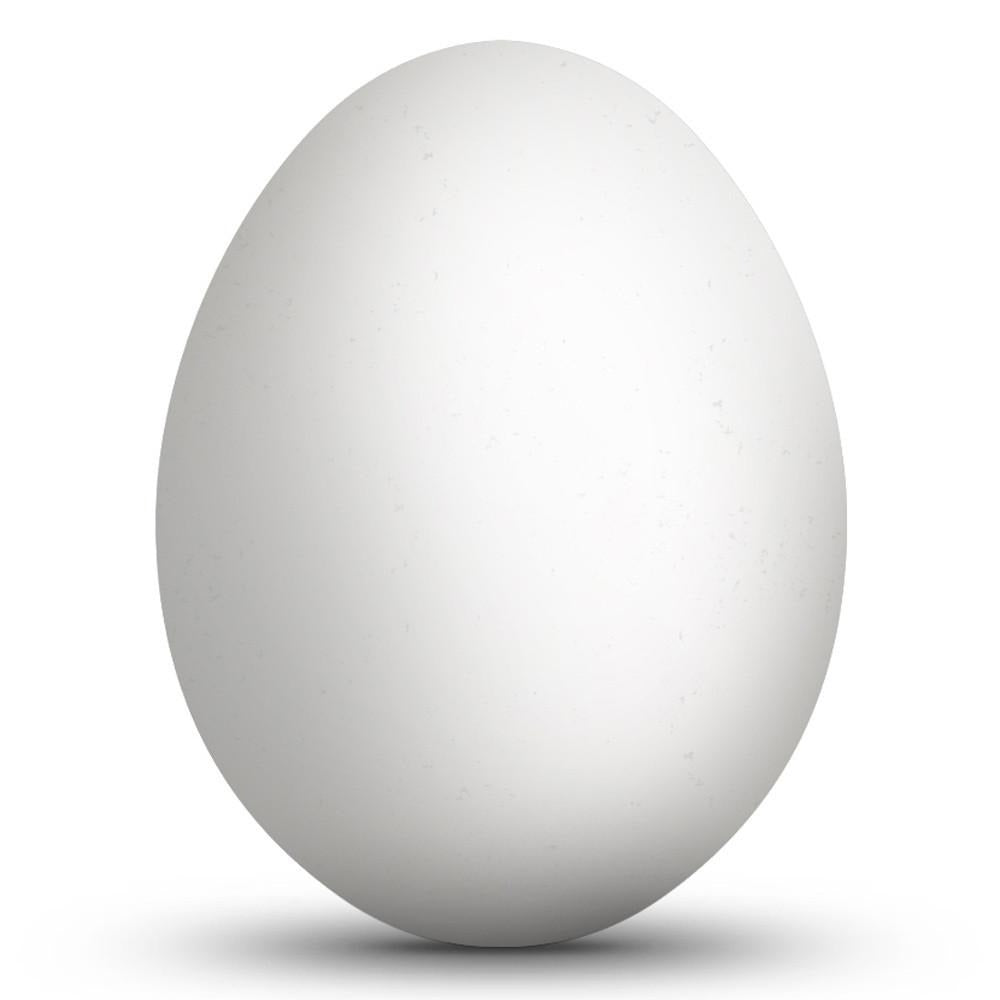 Unfinished Eggs | Blank Wooden, Plastic & Real Eggshell Craft Eggs