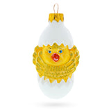 Baby Chick in Egg Glass Christmas Ornament in  color