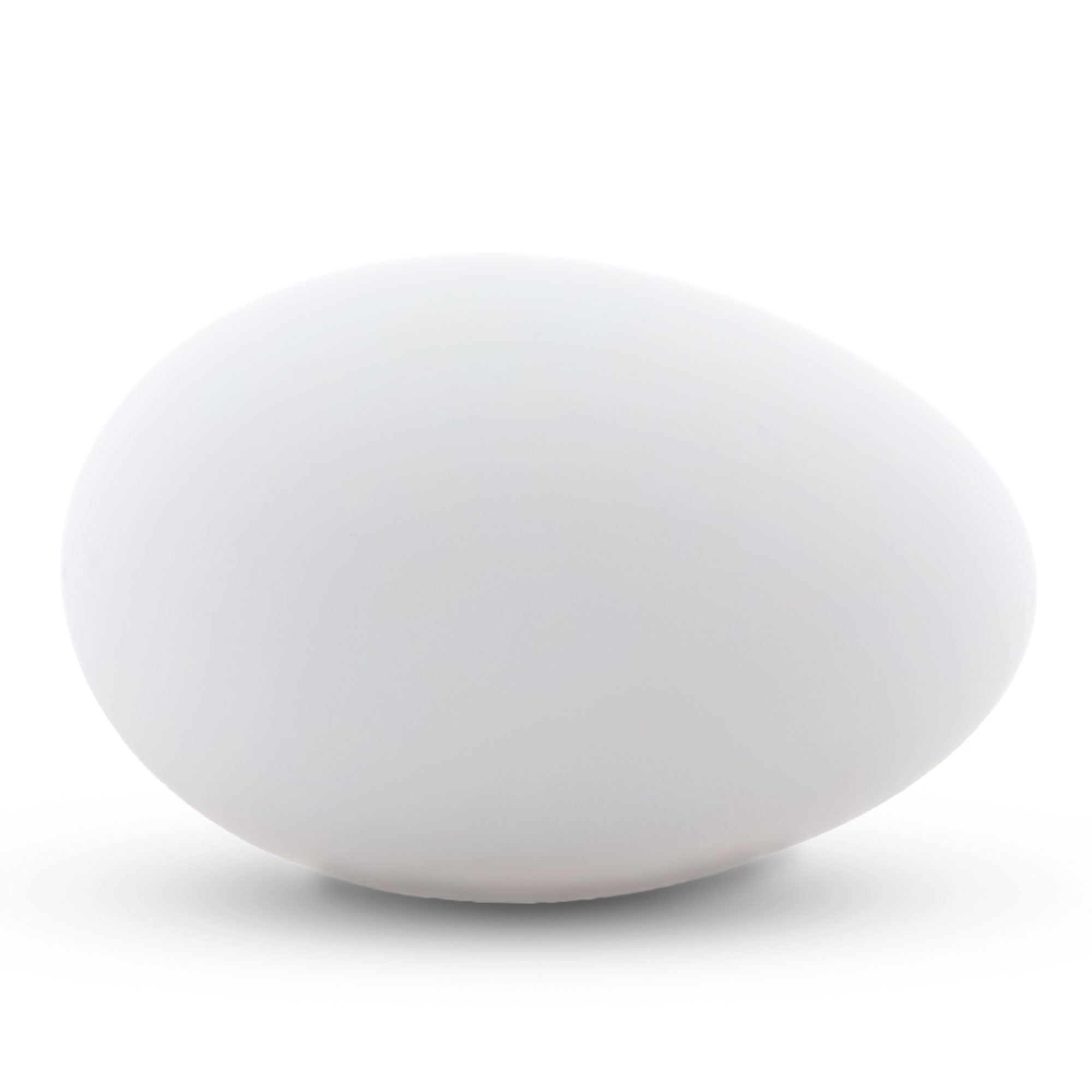 BestPysanky online gift shop sells goose eggshell crafting blown-out natural hollow unfinished Easter decorations DIY projects artisan supplies educational tools goose egg USA delicate art smooth exterior seasonal gift creative base versatile material crafting canvas