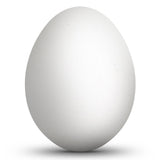 3.1-Inch Tall Hollow Goose Eggshell - Blown Out and Unfinished in White color, Oval shape