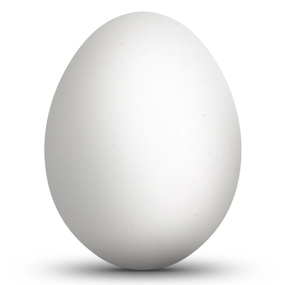 Blown Out Hollow Real Goose Eggshell for Easter Egg Decorating 3.1-Inches Tall in White color, Oval shape