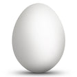 Blown Out Real Goose Eggshell 3.5 Inches Tall Unfinished Hollow Egg in White color, Oval shape
