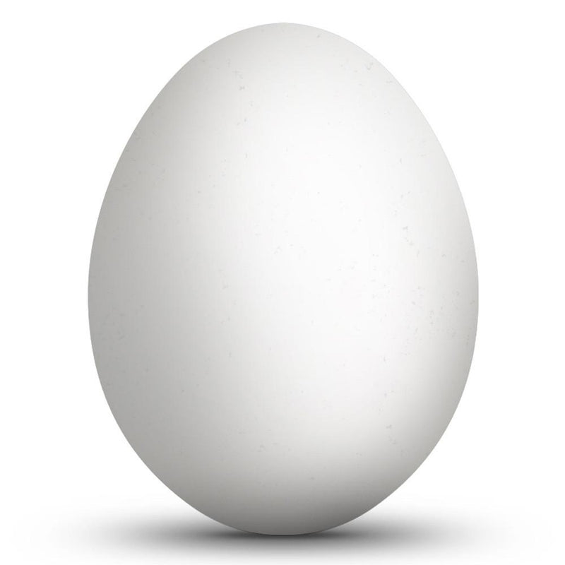 Blown Out Real Goose Eggshell 3.5 Inches Tall Unfinished Hollow Egg in White color, Oval shape