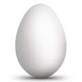 Blown Out Hollow Real Goose Eggshell, Empty Cleaned-Out Egg for Easter Egg Decorating, DIY Pysanky Craft 3.25 Inches Tall in White color Oval