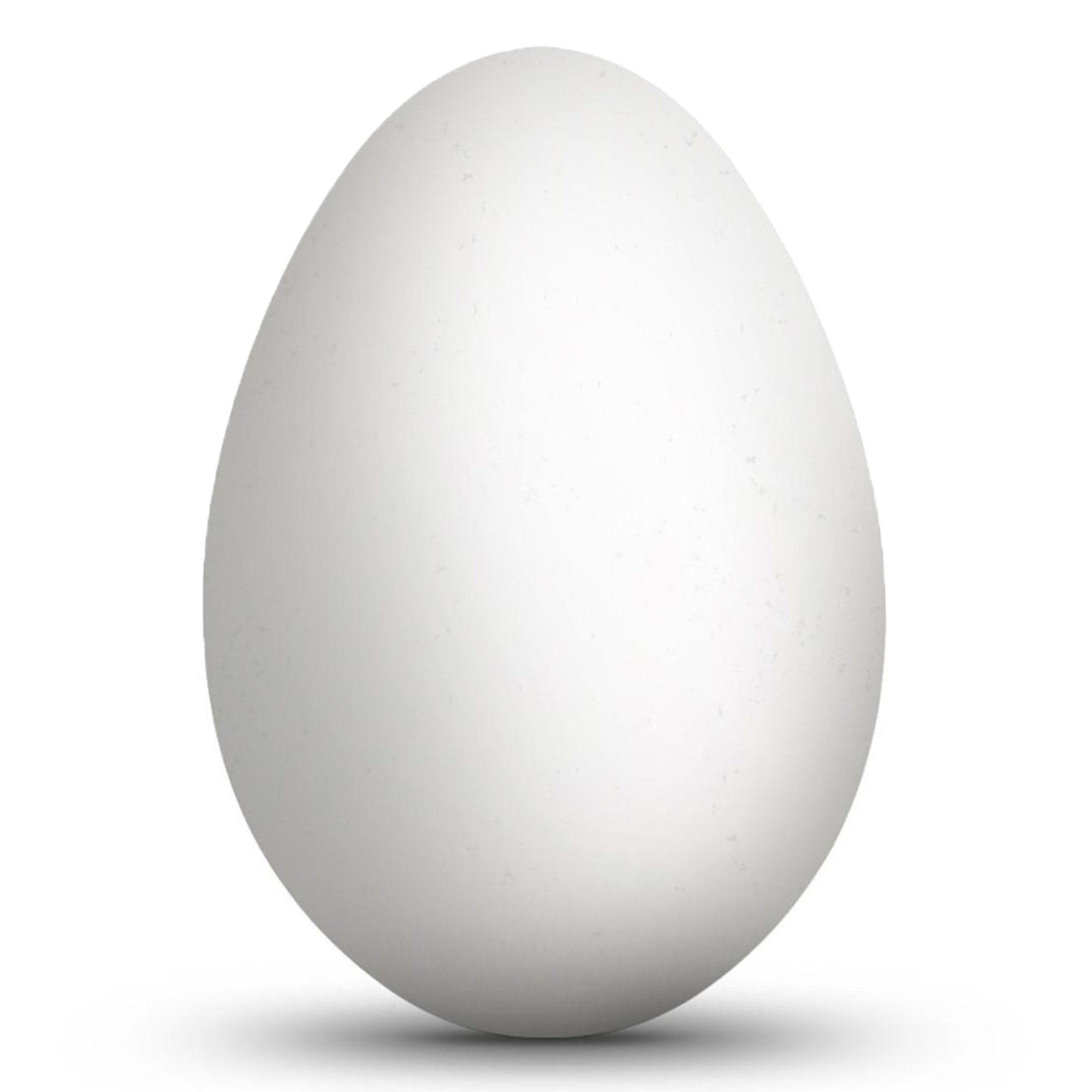Blown Out Hollow Real Goose Eggshell, Empty Cleaned-Out Egg for Easter Egg Decorating, DIY Crafts, Painting, Pysanky 3.25 Inches Tall in White color Oval