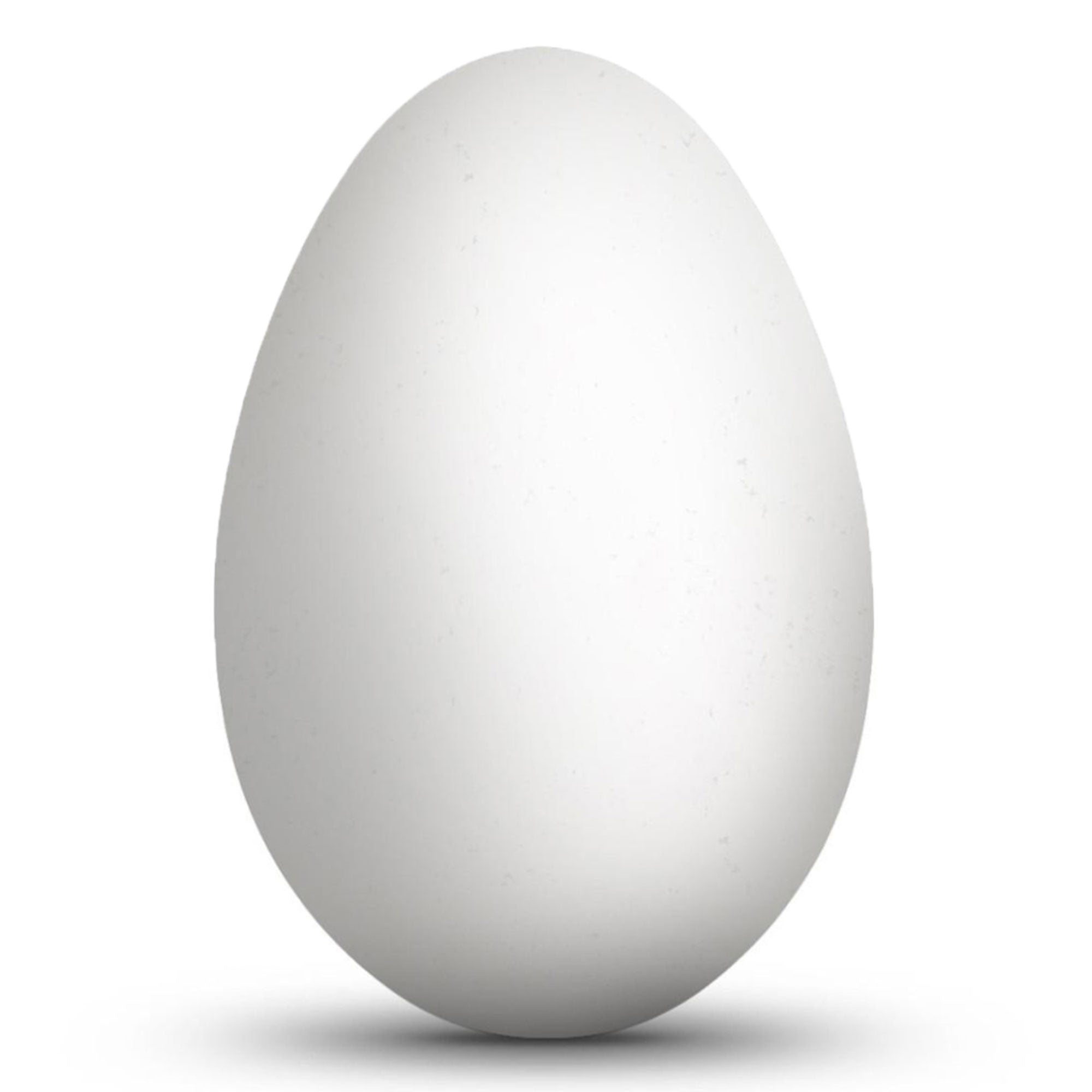 Blown Out Hollow Real Goose Eggshell, Empty Cleaned-Out Egg for Easter Egg Decorating, DIY Crafts, Painting, Pysanky 3.5 Inches Tall in White color Oval