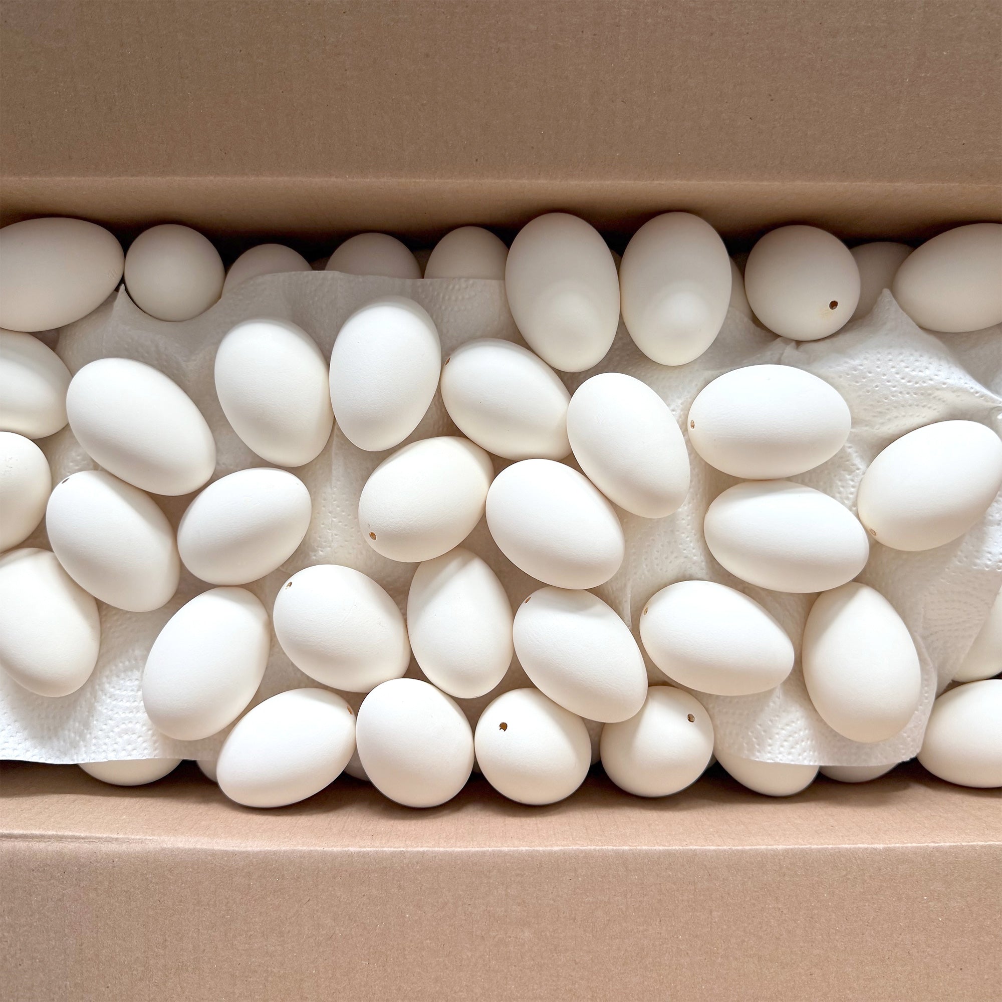Shop Empty Blown Cleaned Hollow Real Goose Eggshell for Pysanky DIY Craft Ukrainian Easter Egg Decorating 3.5 Inches. Buy Easter Eggs > Eggshell > Unfinished White Oval