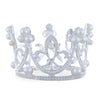 Metal Large Crown Silver Tone Metal Emu and Ostrich Egg Stand Holder Display in Silver color