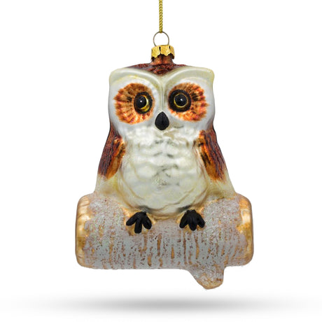 Wise Owl Sitting on a Branch - Handcrafted Blown Glass Christmas Ornament in Multi color,  shape