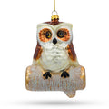 Wise Owl Sitting on a Branch Glass Christmas Ornament in Brown color Figurine