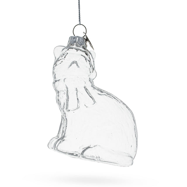 Cat in Hat Clear Blown Glass Christmas Ornament in Clear color