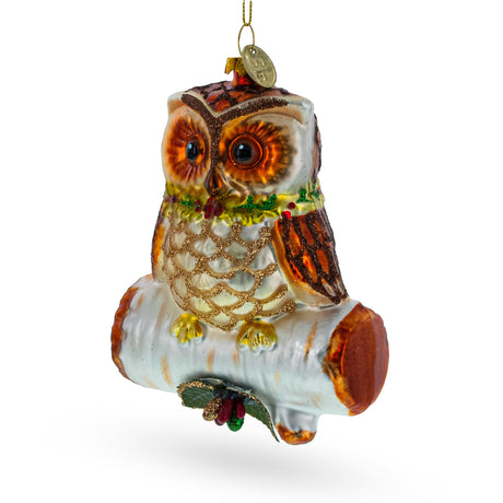 Wise Owl Perched on Branch - Blown Glass Christmas Ornament in Multi color,  shape