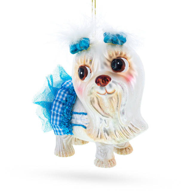 Charming Yorkshire Terrier in Blue Outfit Blown Glass Christmas Ornament in Multi color