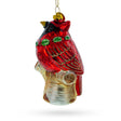 Shimmering Red Cardinal on a Tree Branch Blown Glass Christmas Ornament in Red color