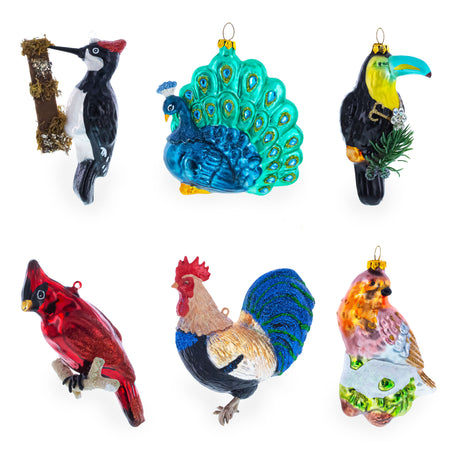 Shop Vibrant Parrot with Drink Blown Glass Christmas Ornament. Buy Christmas Ornaments Animals Birds Multi   for Sale by Online Gift Shop BestPysanky mouth blown hand made painted xmas decor decorations figurine unique luxury collectible heirloom vintage whimsical elegant festive balls baubles old fashioned european german collection artisan hanging personalized