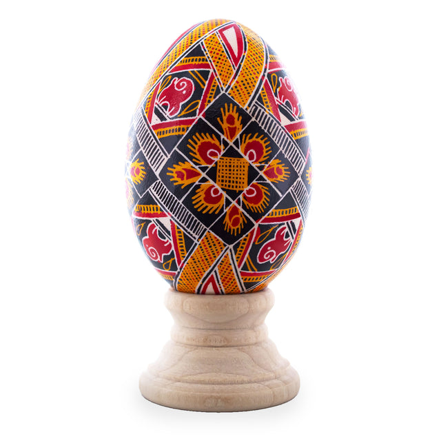 Goose Real Blown Out Ukrainian Easter Egg 6 in  color Oval