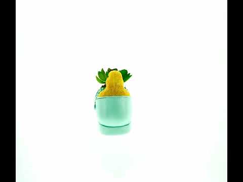 Easter Chick Planter Decorative Shoe Shaped Succulent Pot with Floral Accents 3.4 Inches Tall