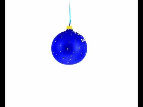 Veterinarian with Puppy Glass Ball Christmas Ornament 3.25 Inches