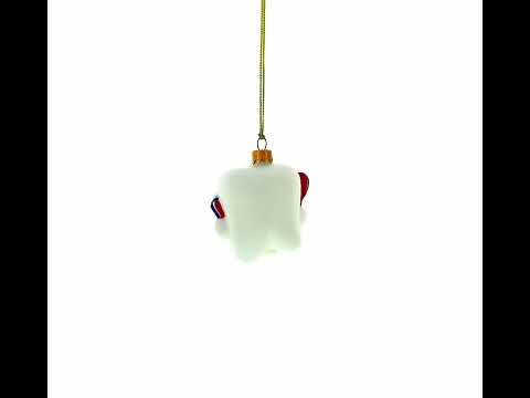 Smiling Tooth with Toothbrush & Toothpaste Dental Glass Christmas Ornament
