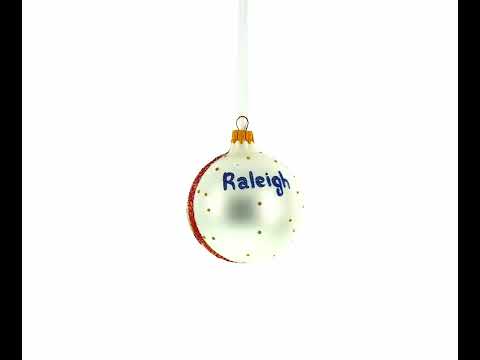 Museum für Naturwissenschaften, Raleigh, North Carolina, USA – Glaskugel-Weihnachtsschmuck, 8,25 cm (3,25 Zoll)