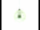 1487 Leonardo da Vinci's 'The Vitruvian Man' Glass Ball Christmas Ornament 4 Inches