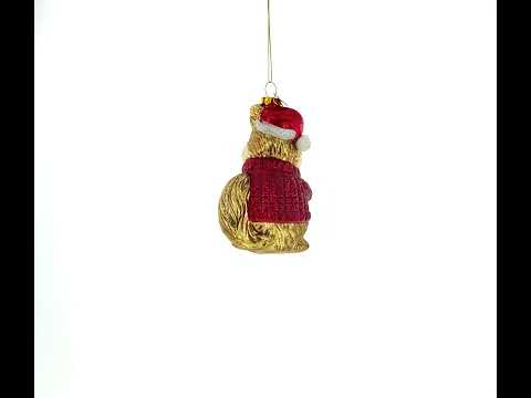 Eichhörnchen schmückt Weihnachtsbaum-Glasornament