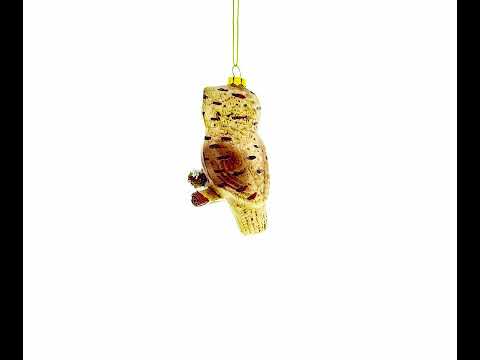 Wise Owl Perched on Branch Glass Christmas Ornament