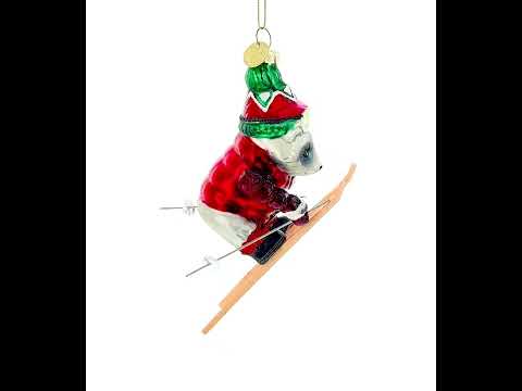Raccoon Skier with Goggles Glass Christmas Ornament