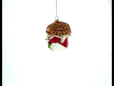 Hedgehog Savoring a Red Apple Glass Christmas Ornament