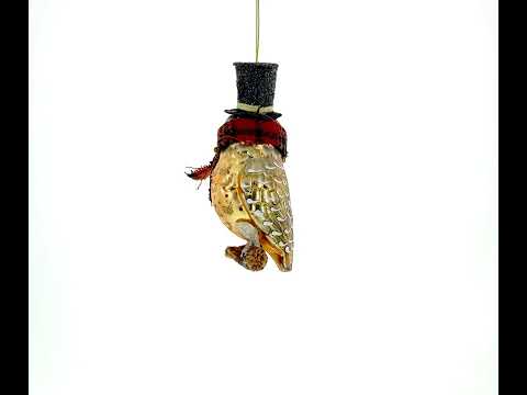 Owl in Black Hat and Scarf Glass Christmas Ornament