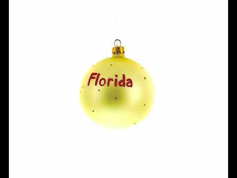 Weihnachtskugel aus Glas mit Motiv des US-Bundesstaates Florida, 10 cm (4 Zoll)