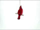 Cardinal Blown Glass Christmas Ornament