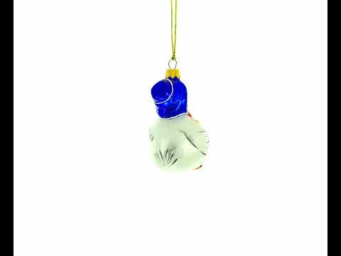 Mother Goose with Ducklings Glass Christmas Ornament