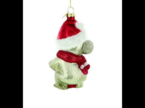 Koala with Present Glass Christmas Ornament