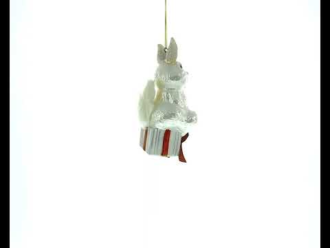 Bunny Sitting on a Gift Christmas Ornament