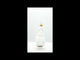 Bunny with Pocket Watch Glass Christmas Ornament