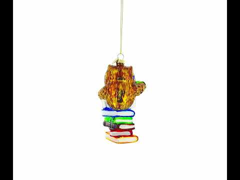 Love to Read Wise Owl with Books Blown Glass Christmas Ornament