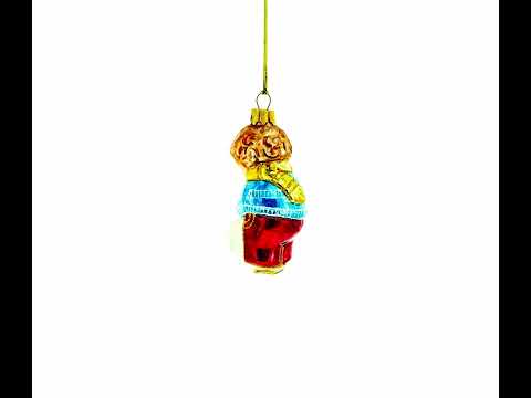 Boy Hugging White Cat Glass Christmas Ornament