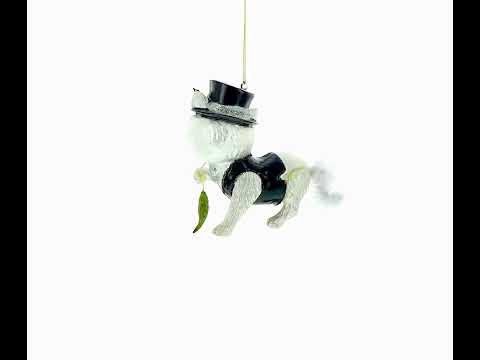 Cat in Black Costume Holding Fish Glass Christmas Ornament