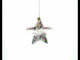 Sugar Star with Shakable Sprinkles Blown Glass Christmas Ornament