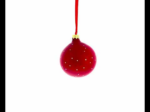 Physical Therapist Glass Ball Christmas Ornament 3.25 Inches