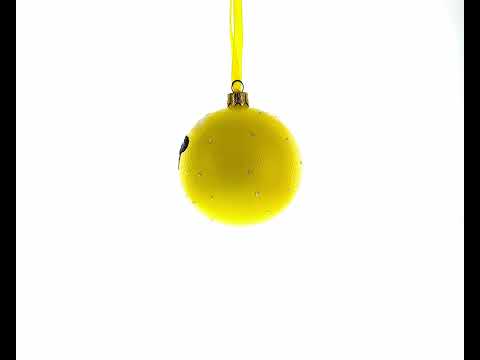Cool Sunglasses Facial Expressions Glass Ball Christmas Ornament 3.25 Inches