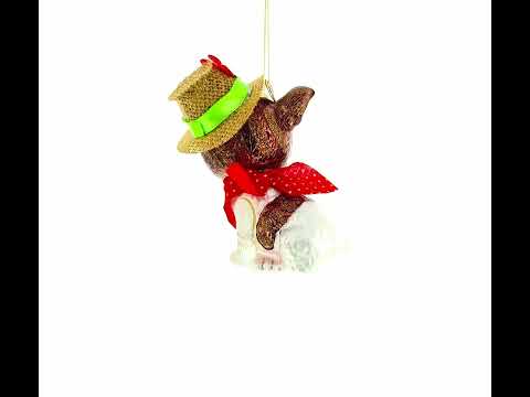 Dapper Boston Terrier in Hat Glass Christmas Ornament