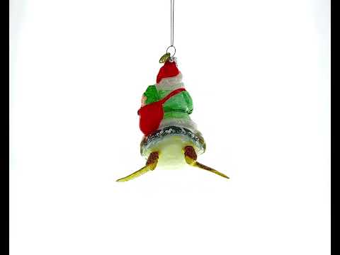 Santa Riding Turtle Glass Christmas Ornament