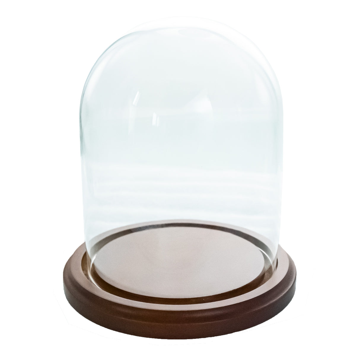 Wood Wooden Base Glass Dome 3 x 4 Inches in Clear color