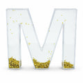 Letter M Glitter-Filled Acrylic Snow Globe in Clear color