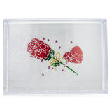 Rectangular Clear Acrylic Plastic Water Globe Picture Frame in Clear color Rectangular